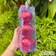 Hộp 3 quả châu gương đỏ 8cm lấp lánh trang trí cây thông noel mẫu 284