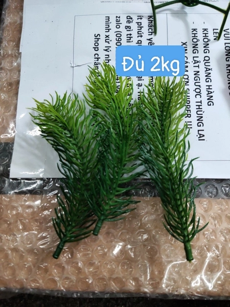 1 kí cành thông phụ kiện trang trí Noel