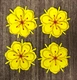 Set 4 bông mai vàng 5cm trang trí tết bằng xốp dẻo mẫu 428