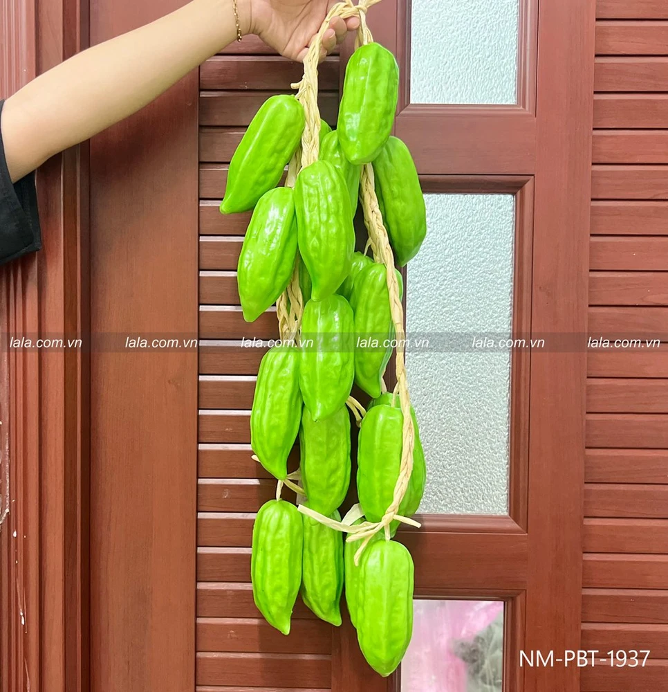 Dây trái khổ qua siêu to trang trí tiểu cảnh tết