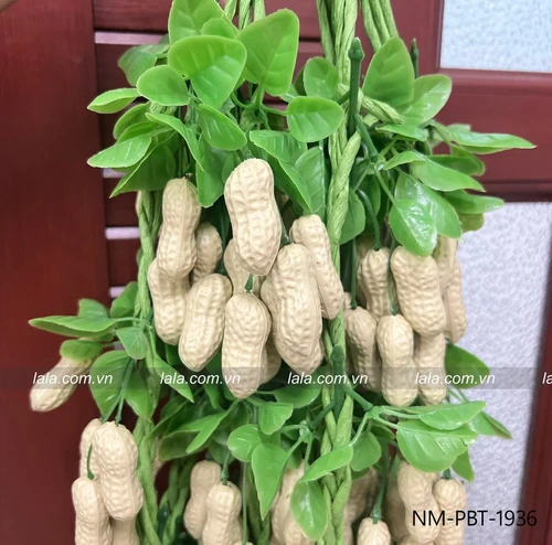 Dây đậu phộng (lạc) có lá trang trí tiểu cảnh tết