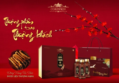 Hộp Quà Tết Đông Trùng Hạ Thảo Thượng Hạng