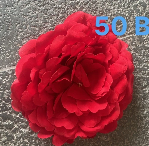 Đầu hoa mẫu đơn mẫu mới