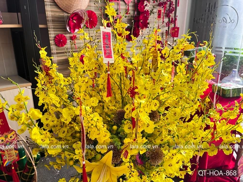 Chậu hoa  mai vàng tài lộc đầy nhà đón tết mẫu 868