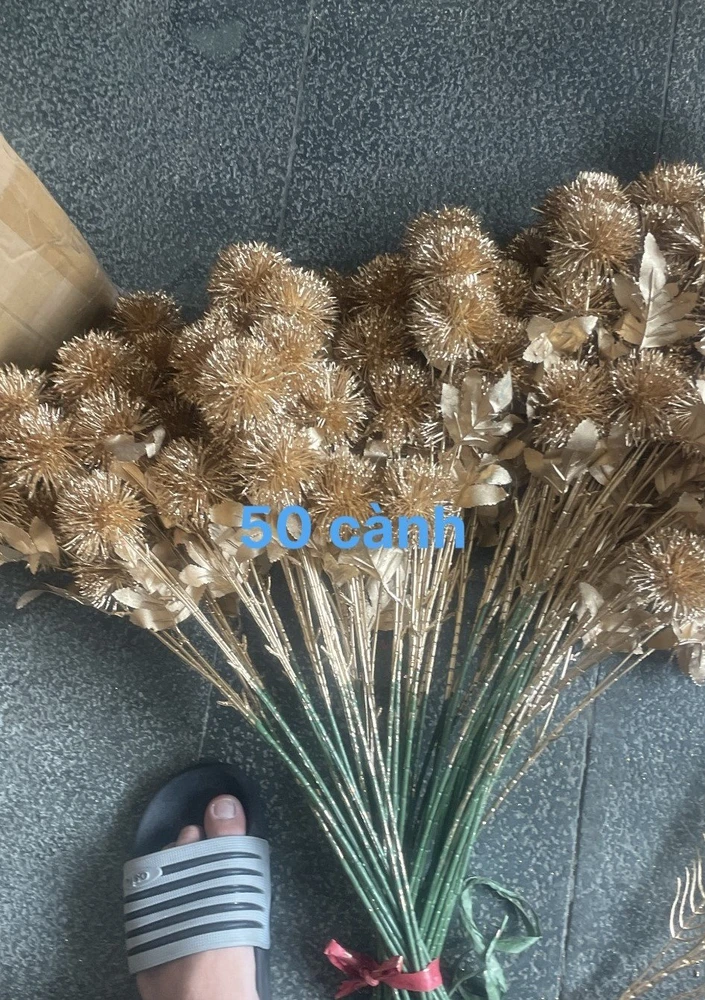 Bô cỏ vàng có lá