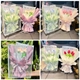 Túi quà tặng bó 5 bông tulip nhiều màu mẫu 921