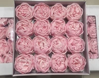 Hộp 16 đầu hoa hồng sáp 7 lớp