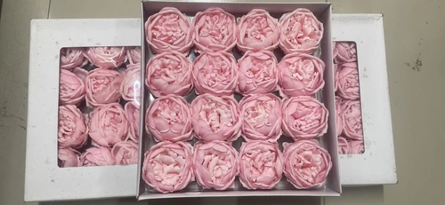 Hộp 16 đầu hoa hồng sáp 7 lớp