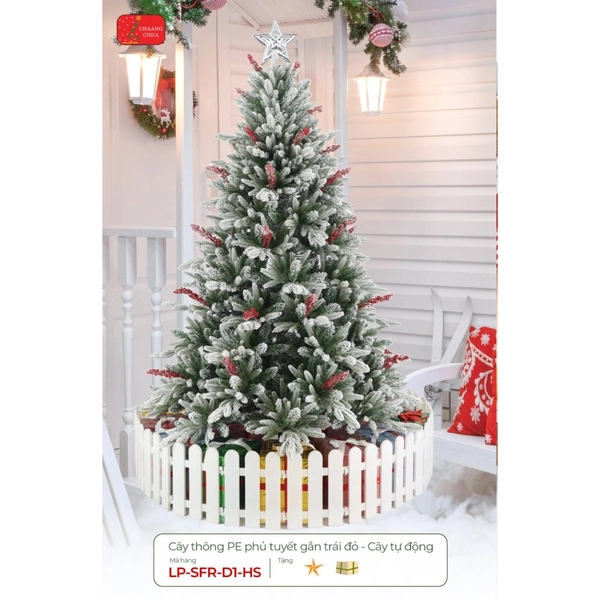 Cây thông PE phủ tuyết gắn trái đỏ - cây tự động