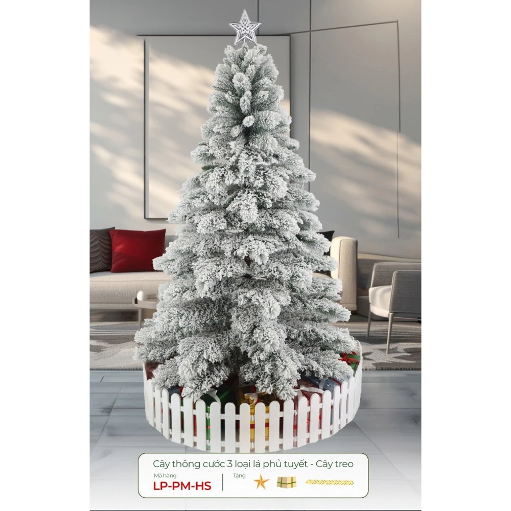 Cây Thông Cước 3 Loại Lá Phủ Tuyết - Cây treo