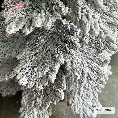 Cây thông đầu nhọn phủ tuyết - Cây treo