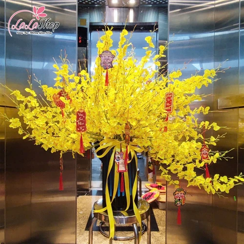 Bình hoa lan vũ nữ tài lộc sum vầy