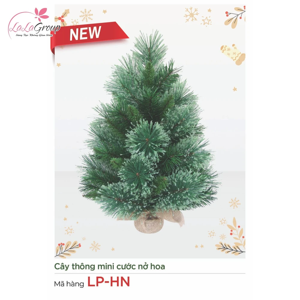 Cây thông mini cước nở hoa