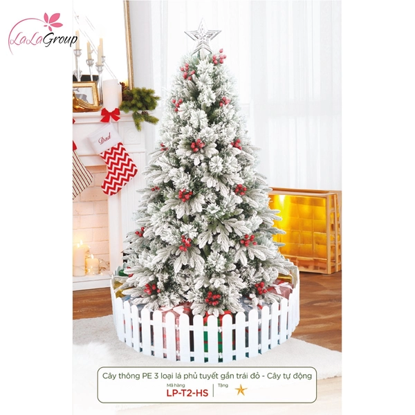 Cây thông Pe 3 loại lá phủ tuyết gắn trái đỏ - Cây tự động