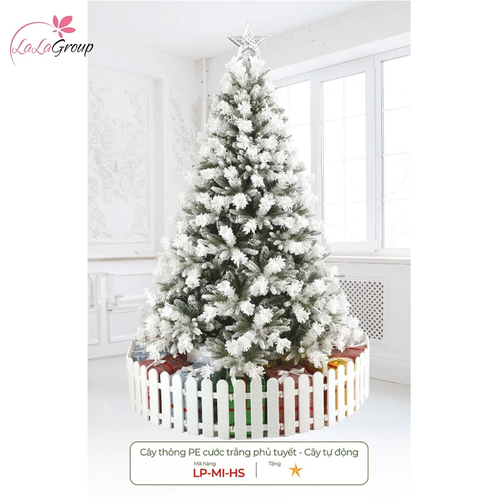 Cây thông pe cước trắng phủ tuyết - Cây tự động