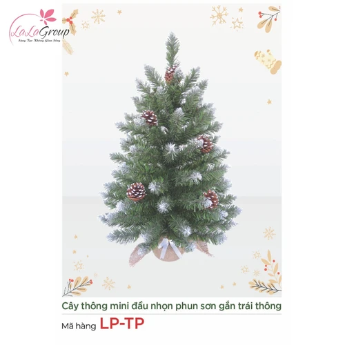 Cây thông mini đầu nhọn phun sơn gắn trái thông 60cm