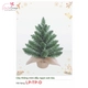 Cây thông mini đầu nhọn sơn bìa
