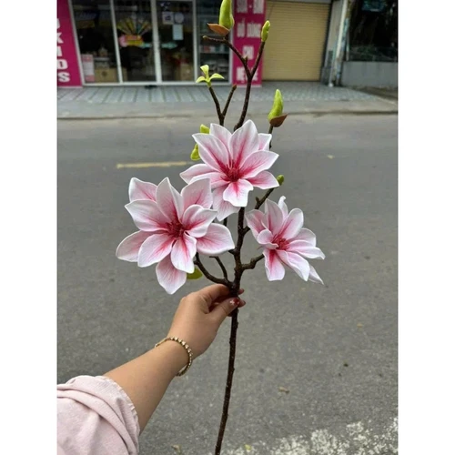 Cành hoa mộc lan kép nhiều màu trang trí