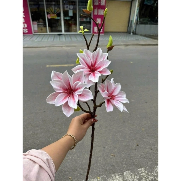 Cành hoa mộc lan kép nhiều màu trang trí