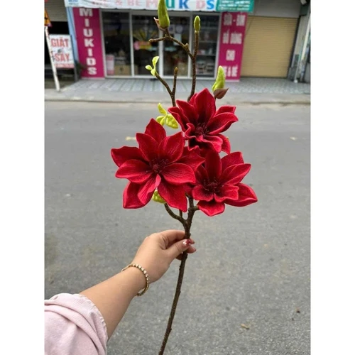 Cành hoa mộc lan kép nhiều màu trang trí