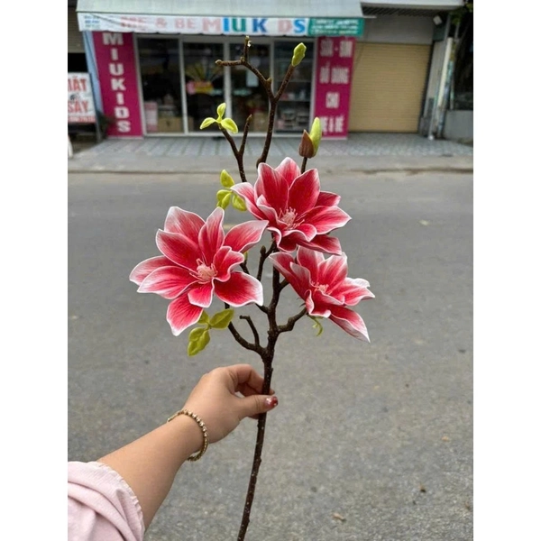 Cành hoa mộc lan kép nhiều màu trang trí