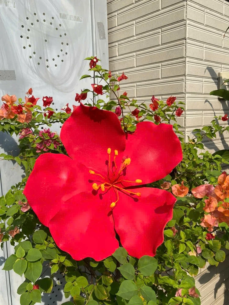 Hoa anh đào mút xốp màu đỏ trang trí tết