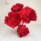 Hoa nhung đỏ nhụy ngọc trai trang trí tết