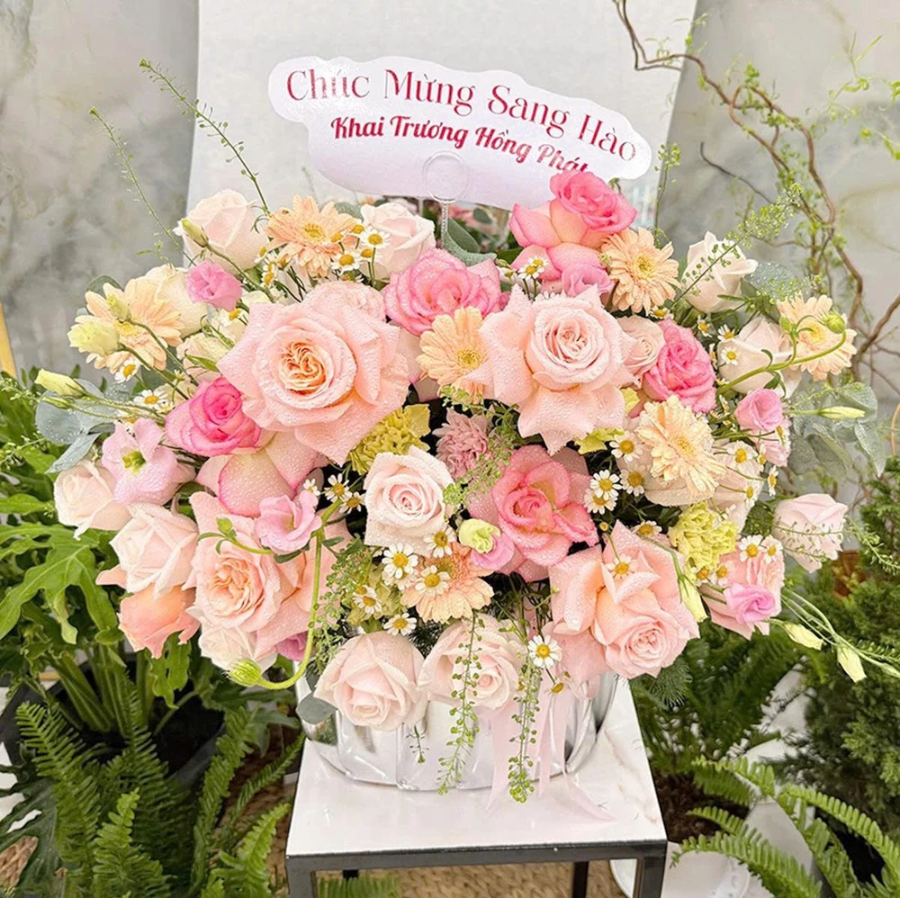 Chậu Hoa Hồng Pastel Mix Cúc Họa Mi Ngọt Ngào