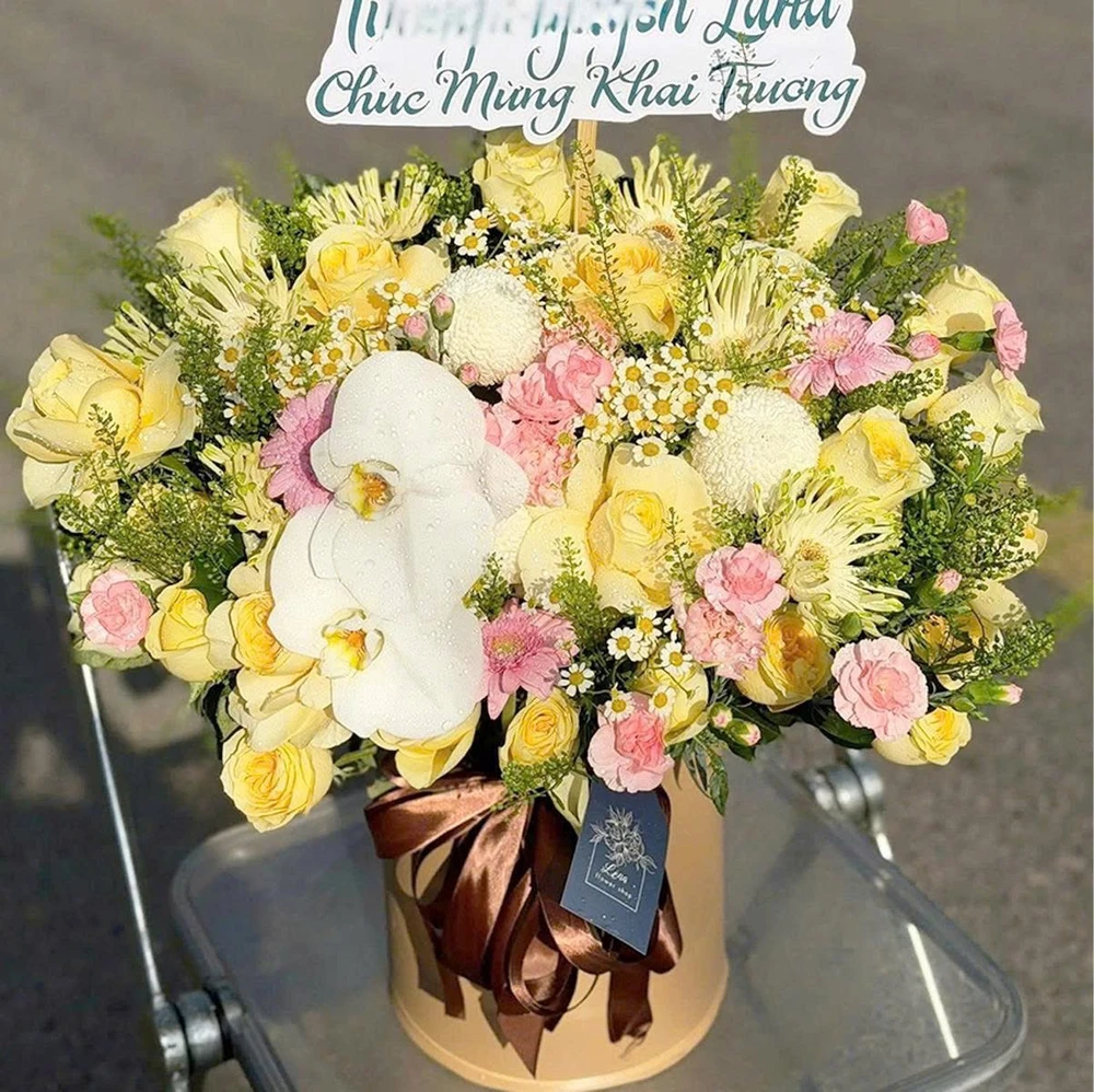 Chậu Hoa Chúc Mừng Tone Vàng Pastel Mix Hoa Lan Sang Trọng