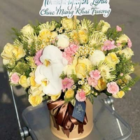 Chậu Hoa Chúc Mừng Tone Vàng Pastel Mix Hoa Lan Sang Trọng