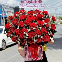 Chậu Hoa Hồng Đỏ Rực Rỡ Lãng Mạn