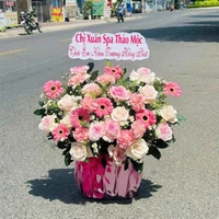 Chậu Hoa Hồng Pastel Mix Hoa Đồng Tiền Sắc Hồng Dịu Dàng