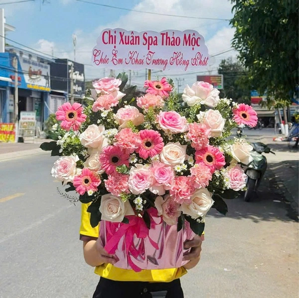 Chậu Hoa Hồng Pastel Mix Hoa Đồng Tiền Sắc Hồng Dịu Dàng