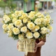 Chậu Hoa Chúc Mừng Tone Vàng Đại Lợi
