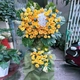 Kệ Hoa Khai Trương Hồng Vàng Hạnh Phúc
