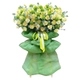 Kệ Hoa Khai Trương Tone Xanh Lá Đại Lợi