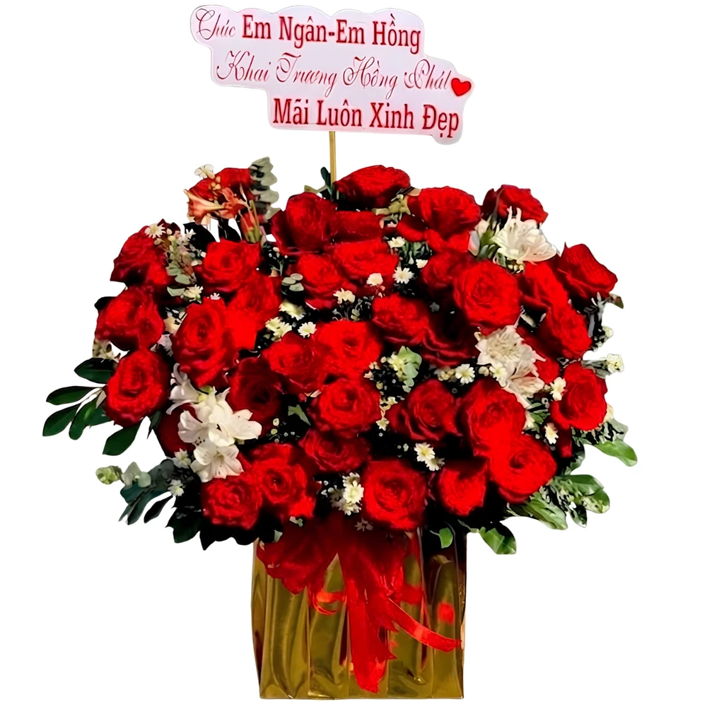 Chậu Hoa Hồng Đỏ Phú Quý