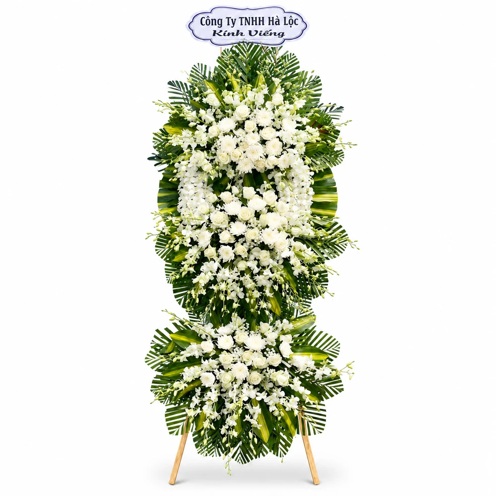 Hoa Chia Buồn Hoa Lan Trắng Thanh Khiết