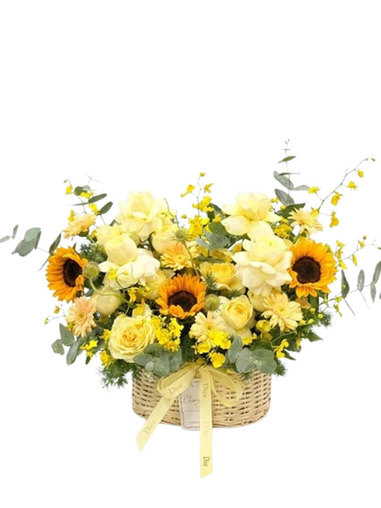 Gỉỏ Hoa Tia Nắng Vàng Tươi