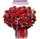 Chậu Hoa Hồng Đỏ Rực Rỡ Lãng Mạn