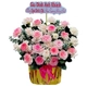 Chậu Hoa Hồng Mix Cẩm Chướng Hồng Quà Tặng Yêu Thương Ngọt Ngào