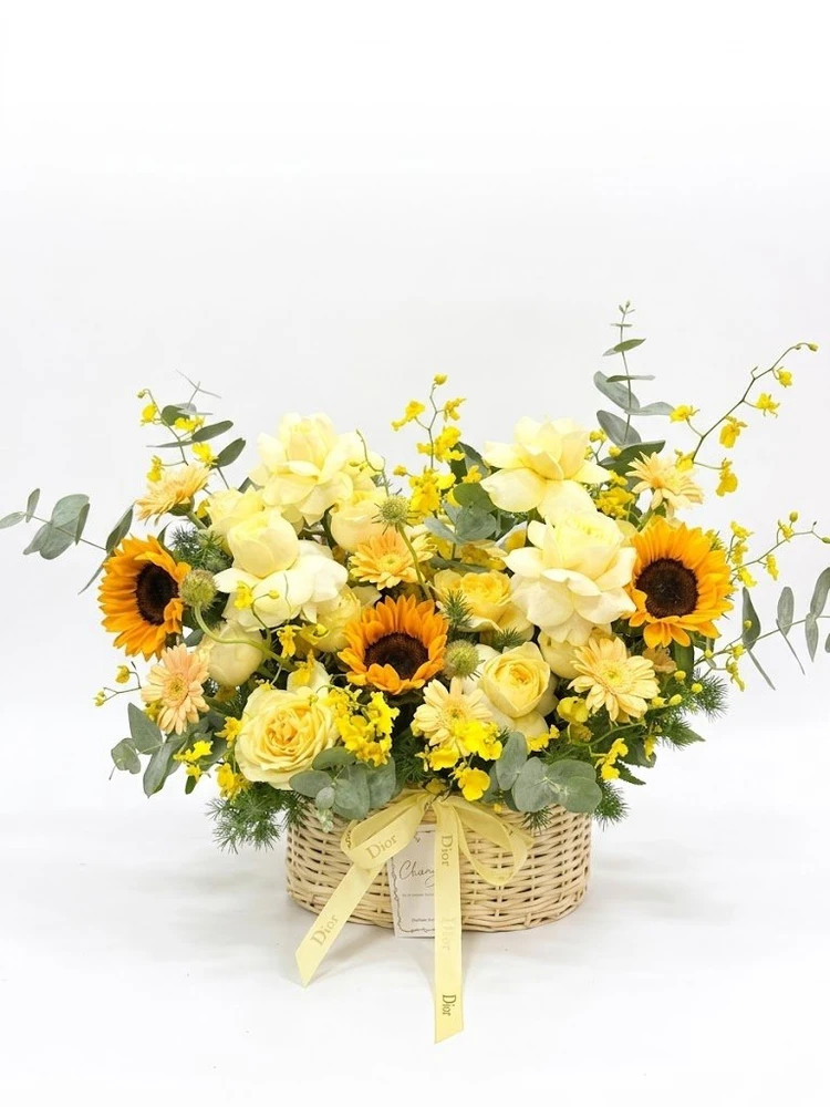 Gỉỏ Hoa Tia Nắng Vàng Tươi
