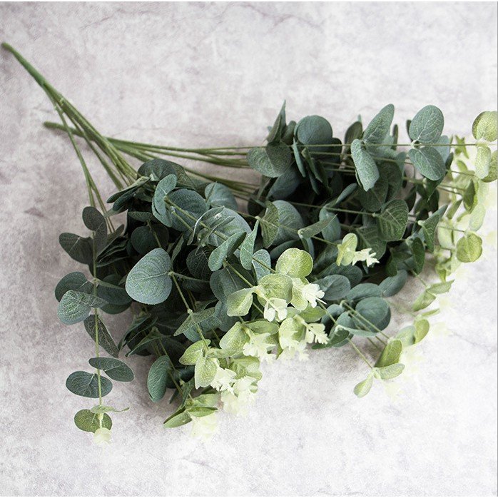 Cành Lá Táo Điểm Lá Mimosa