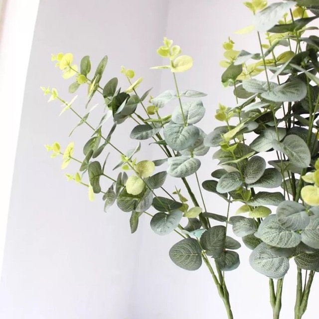 Cành Lá Táo Điểm Lá Mimosa