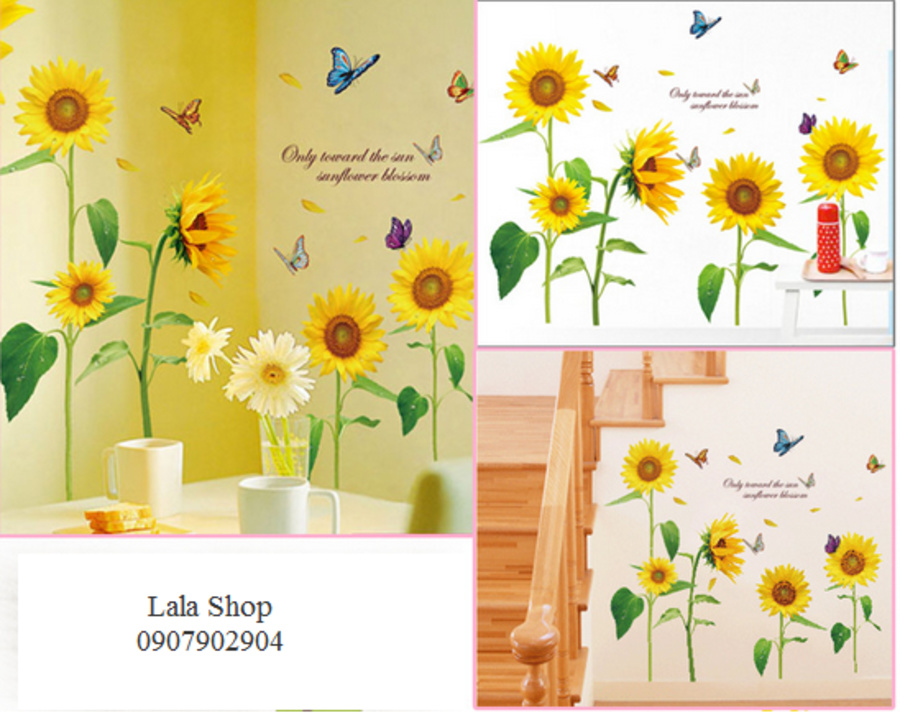 Ảnh sản phẩm - Lala Shop