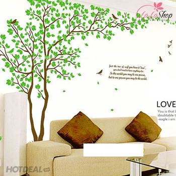 Decal dán tường cây dán 6 kiểu