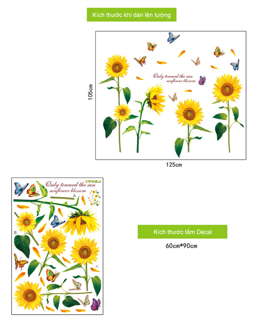 Ảnh sản phẩm - Lala Shop