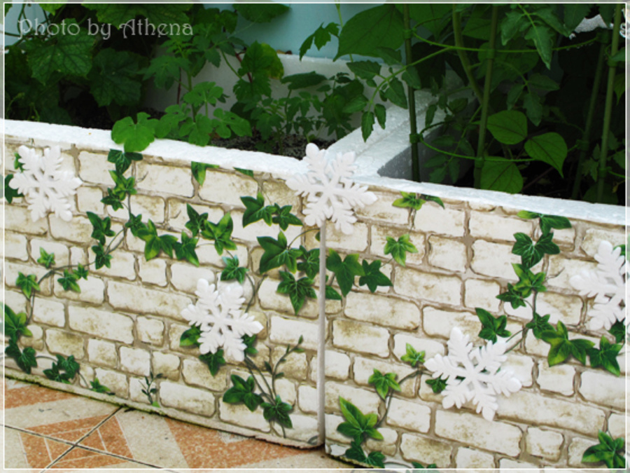 Ảnh sản phẩm - Lala Shop