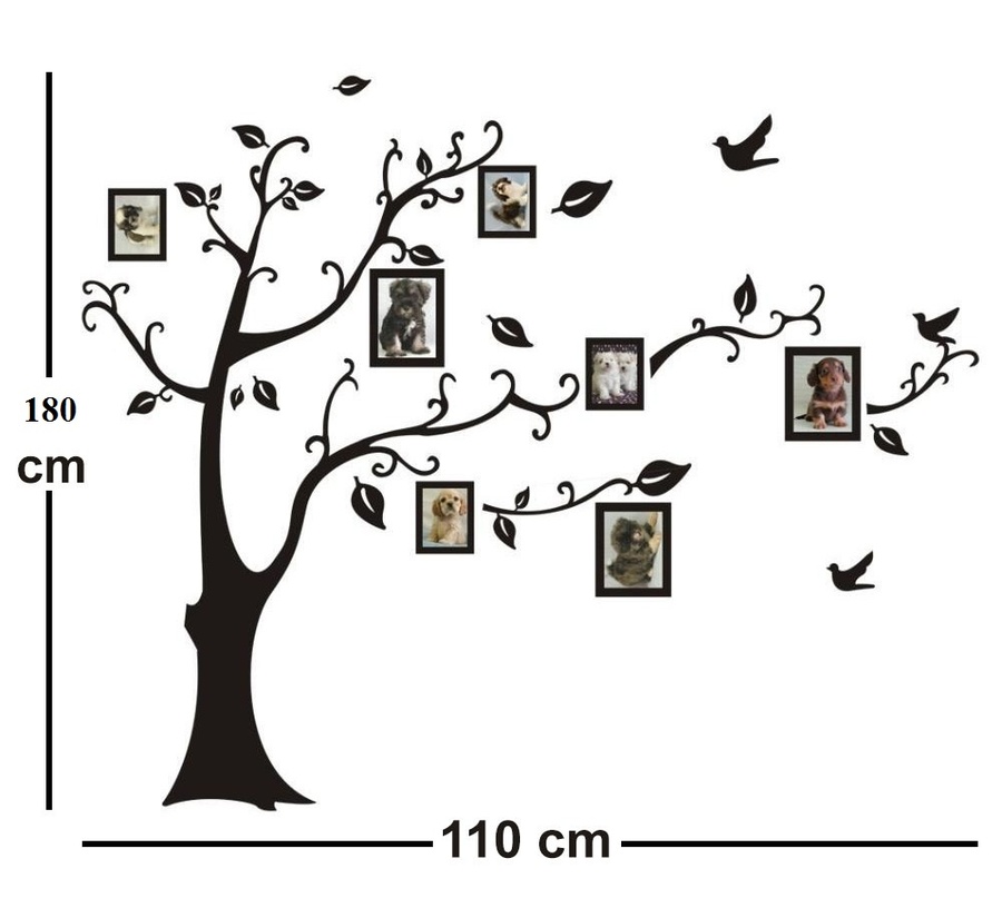 Ảnh sản phẩm - Lala Shop