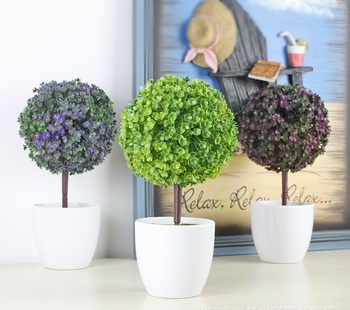 Chậu Cây nhựa 1 chậu